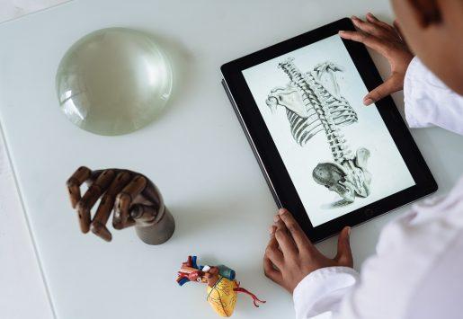 Person looking at anatomy study Person looking at anatomy study
